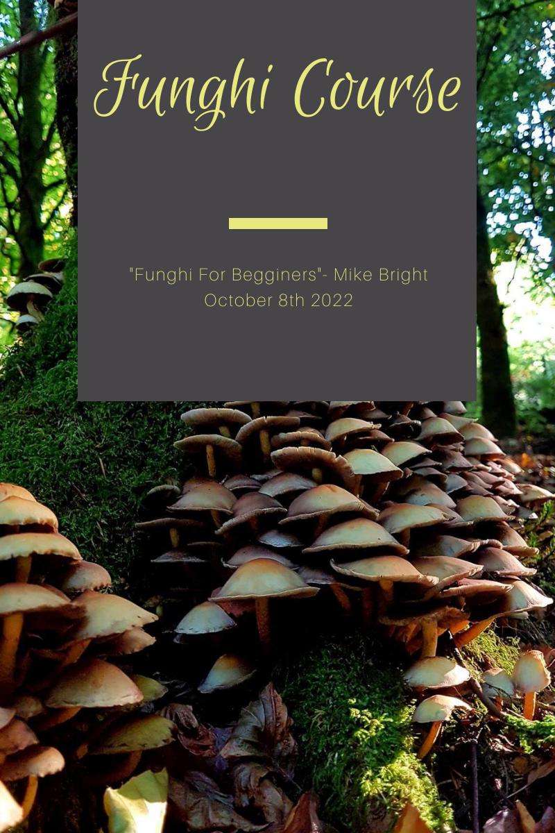 Funghi Course October 2022