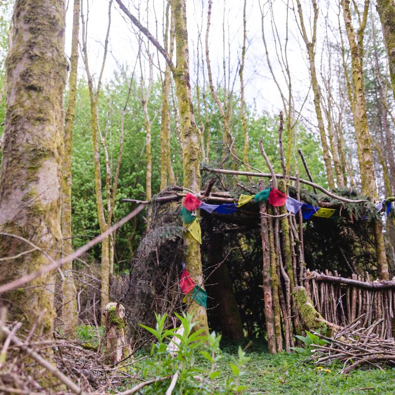 Woodland Glamping With Kids!