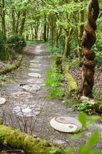 Paths and Trails