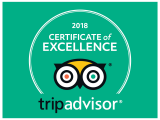 Trip Advisor Award